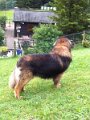 Camillo0127