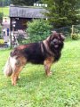 Camillo0128