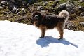 Camillo0141