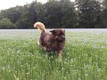 Camillo0146