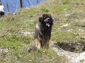 Camillo0148
