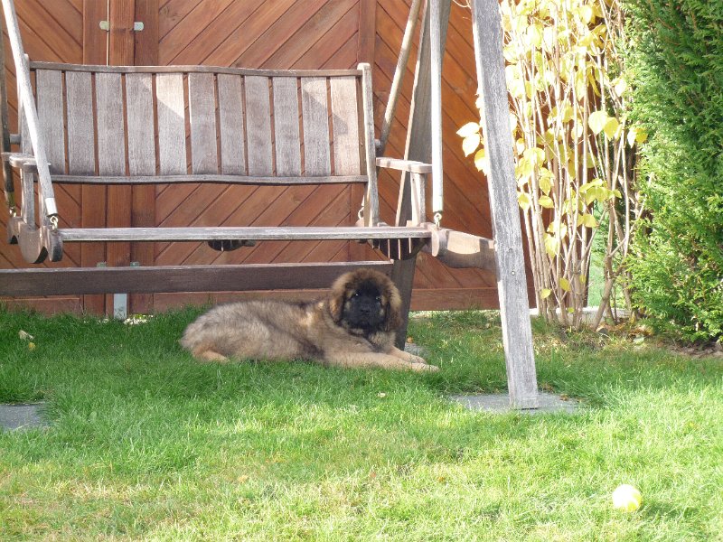Camillo0029.JPG - Camillo (Cardiff)