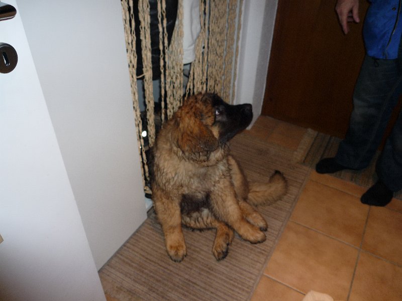 Camillo0053.JPG - Camillo (Cardiff)