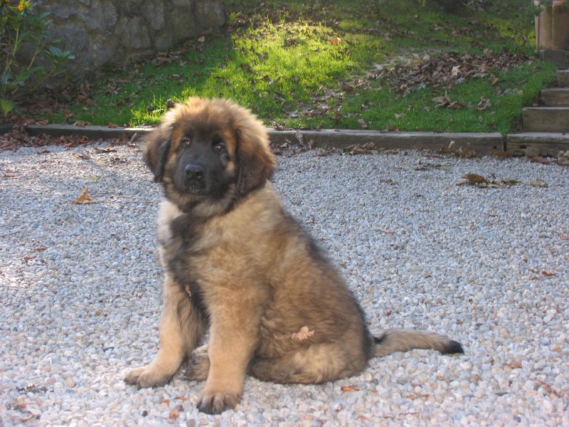 CharmingBoy0006.JPG - Charming Boy