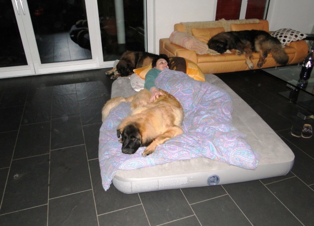 Damon3048.JPG - Damon bei uns auf Besuch