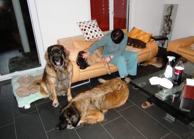 Damon3052.JPG - Damon bei uns auf Besuch