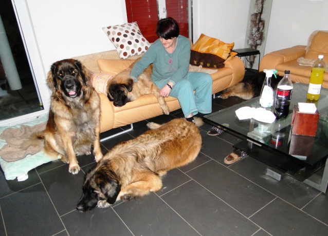 Damon3053.JPG - Damon bei uns auf Besuch