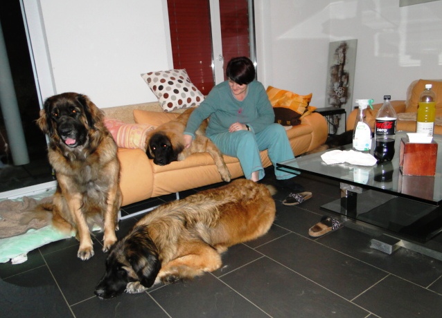 Damon3054.JPG - Damon bei uns auf Besuch