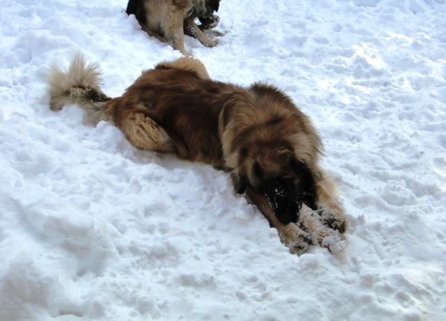 Yerly3059.JPG - JJ und Zahnstocher