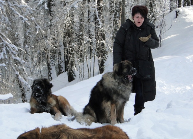 Yerly3065.JPG - Eowyn findet das alles zum Gähnen