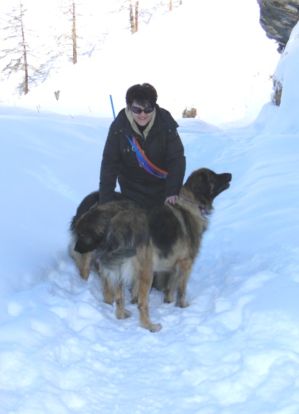 Yerly3149.JPG - ...Während Arwen und Eowyn auf Mama aufpassen...