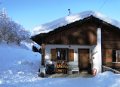 Yerly3134