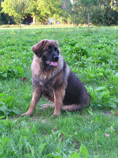 Eowyn0775.JPG - Eowyn im Alter von 14 Monaten
