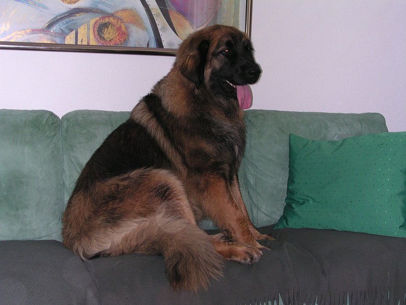 Eowyn0780.JPG - ... und es geht noch eleganter!