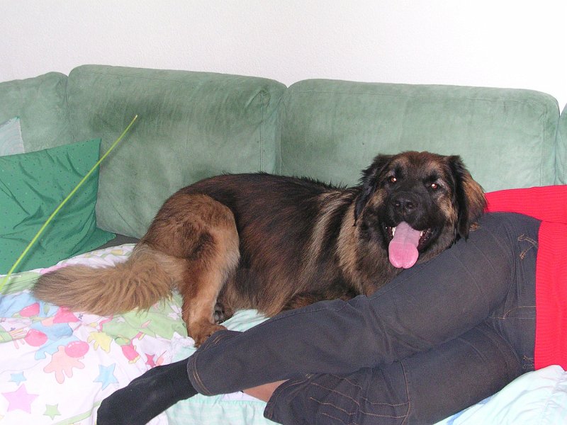 Eowyn0792.JPG - So richtig gemütlich ist's halt nur an Mamas besten Ort...