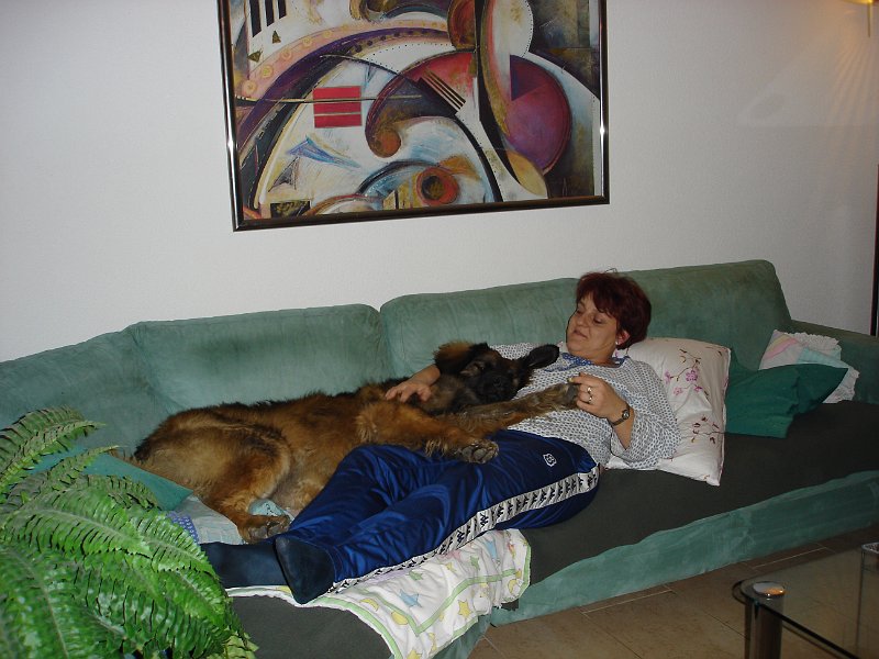 Eowyn1002.JPG - Das wird nur noch getoppt von einem gemeinsamen Couch-Schläfchen!