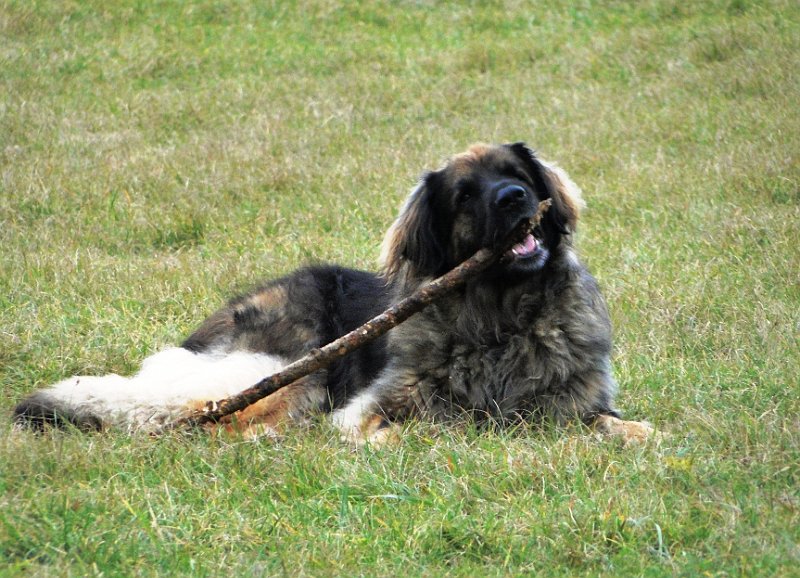 Eowyn4402.JPG - ... oder auch so!