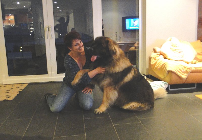Eowyn4421.JPG - Hier in Vorzeigeposition mit Frauchen, anfangs 2011