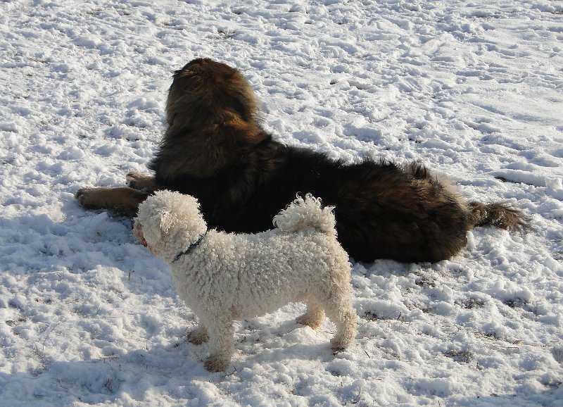 Eowyn4601.JPG - David und Goliath, oder so ähnlich