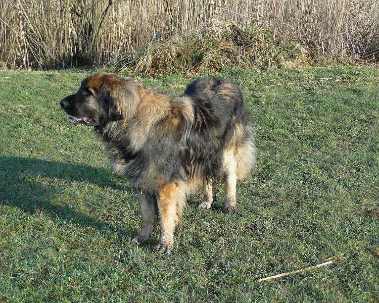 Eowyn4605.JPG - Was geht ab?
