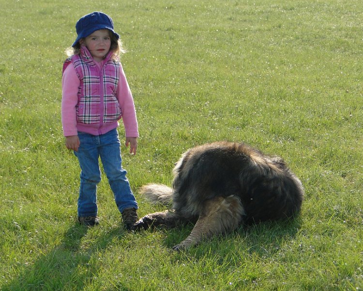 Eowyn4609.JPG - Hier sollte der Hund eigentlich nach vorne schauen, oder?