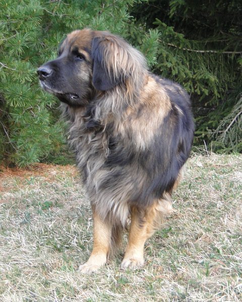 Eowyn4614.JPG - Immer diese aufdringlichen Fotografen!