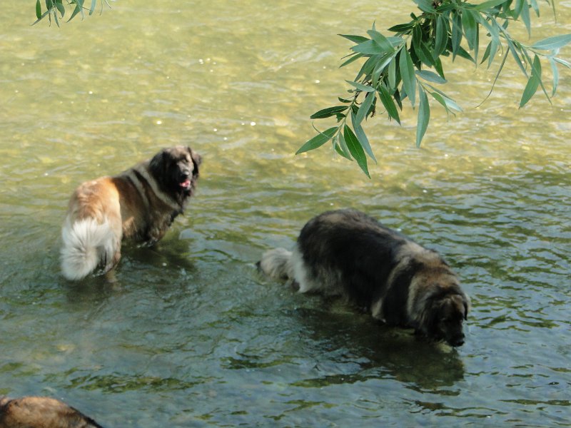 Eowyn4701.JPG - Das nenne ich einen Wassertopf!