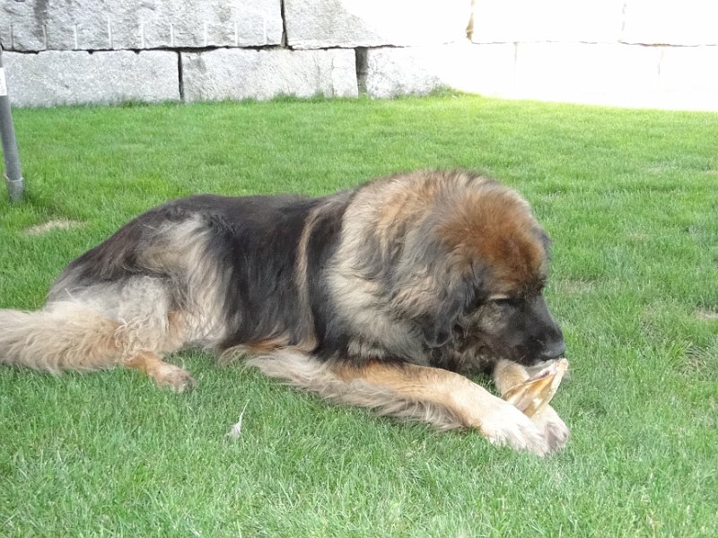 Eowyn4822.JPG - Beim Essen