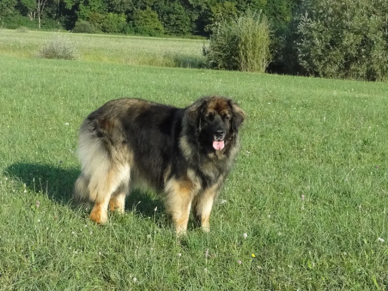 Eowyn4825.JPG - Bewerbungsfoto für Seniorenresidenz