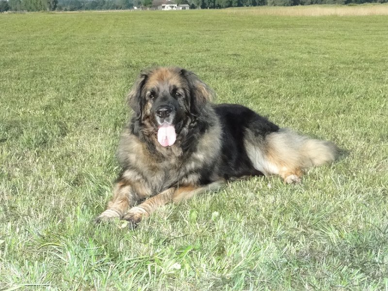 Eowyn4831.JPG - Zahnpasta-Lächeln
