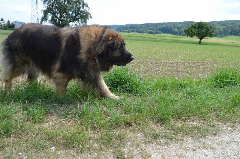 Eowyn4836.jpg - gemütlicher Spaziergang