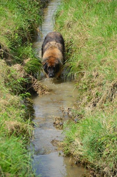 Eowyn4841.jpg - und macht schön kühle Beine