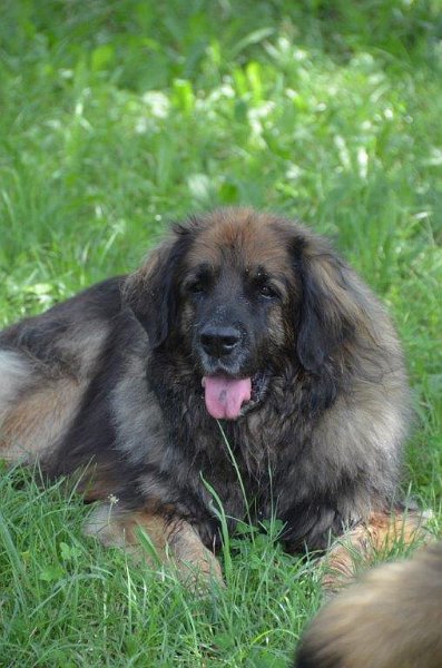 Eowyn4853.jpg - Chillen!