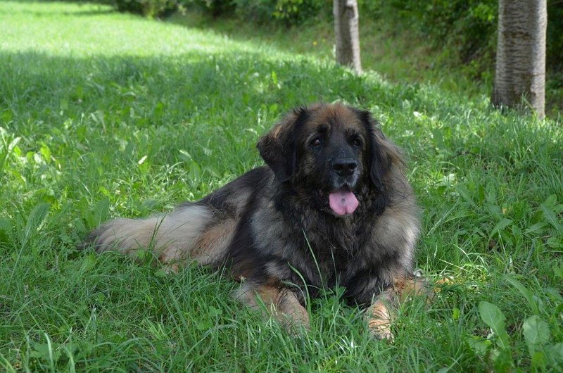 Eowyn4854.jpg - ... und noch mehr chillen!