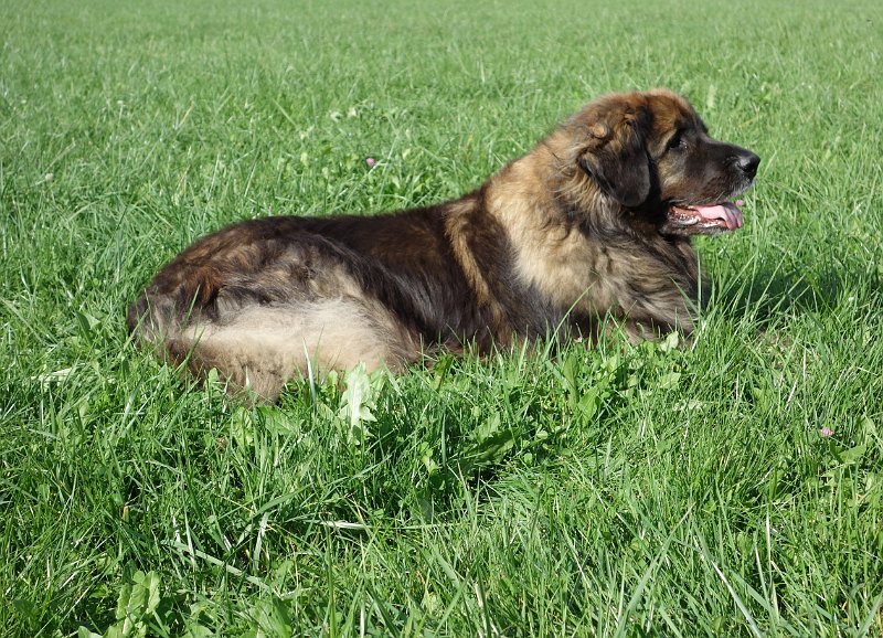 Eowyn4880.JPG - Ich hab das Jubiläum hinter mir!
