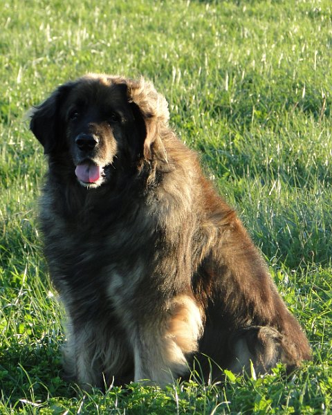 Eowyn4886.JPG - Eowyn wartet.. aber auf was?