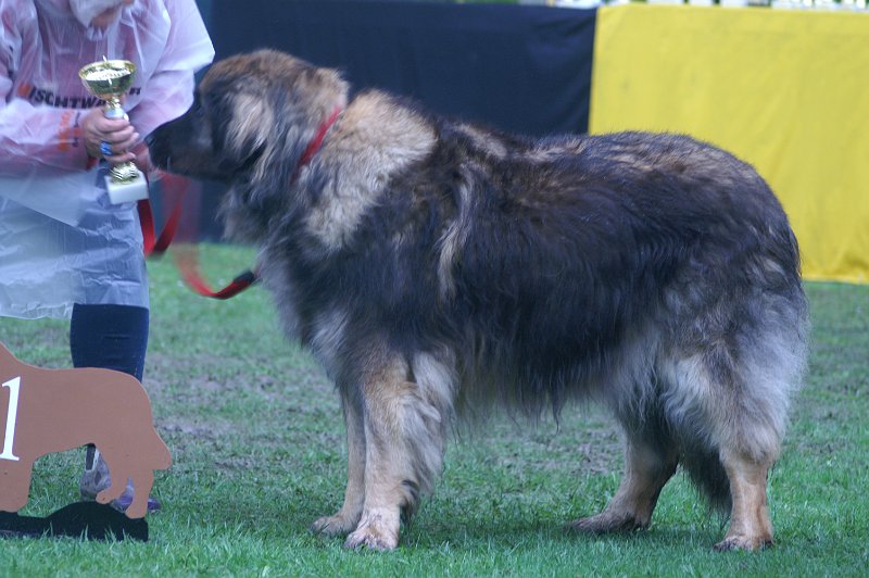 Eowyn4890.JPG - Ich habe mal Leonberg gewonnen (wenn auch nur in den Veteranen, aber das müsst Ihr ja nicht weite erzählen!)