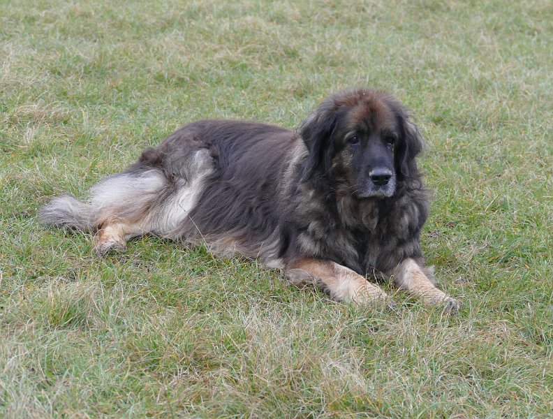 Eowyn4903.JPG - ... und immer noch!