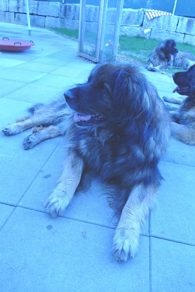 Eowyn4915.JPG - Achtung Foto!