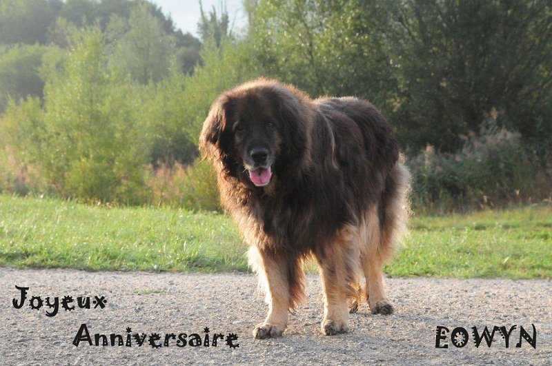 Eowyn5000.jpg - Ich bin 12 Jahre jung geworden - oder so ähnlich :-)