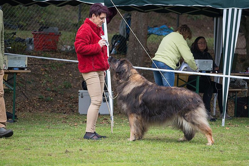 Eowyn5001.jpg - Hier stehe ich in Leonberg im Oktober 2015 mit meiner Chefin, das heisst jeweils ... Achtung!