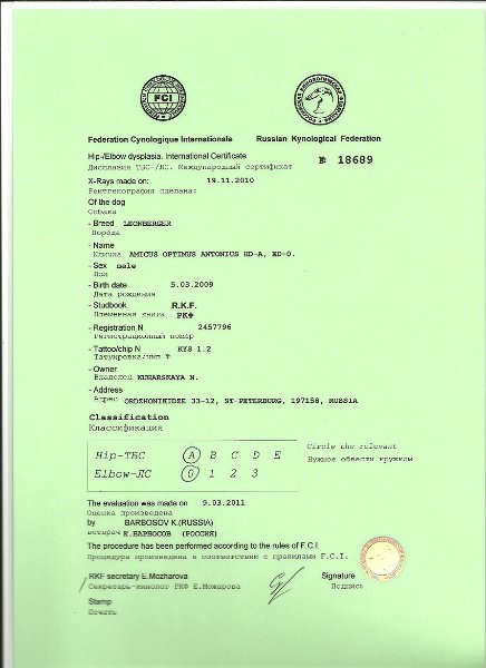 Дисплазия.jpg - Stammbaum Teil 1