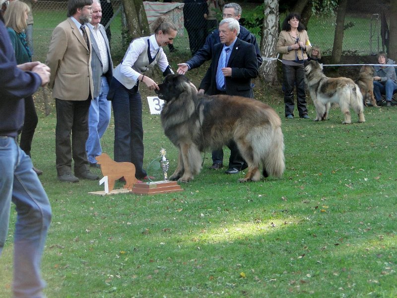 AmicusOptimusAntonius0002.JPG - BOB Leonberg 2012