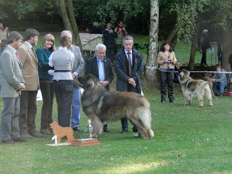 AmicusOptimusAntonius0003.JPG - BOB Leonberg 2012