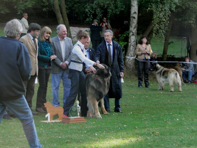 AmicusOptimusAntonius0004.JPG - BOB Leonberg 2012