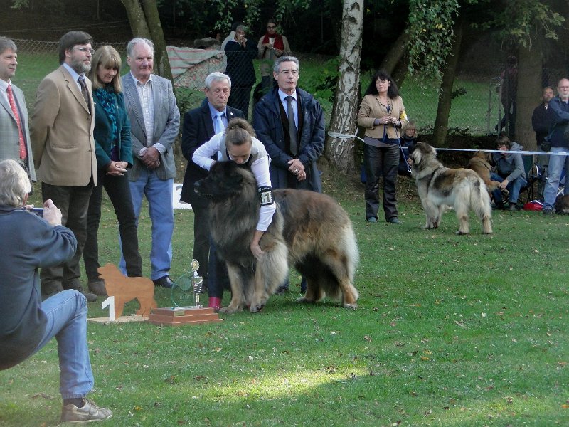 AmicusOptimusAntonius0005.JPG - BOB Leonberg 2012