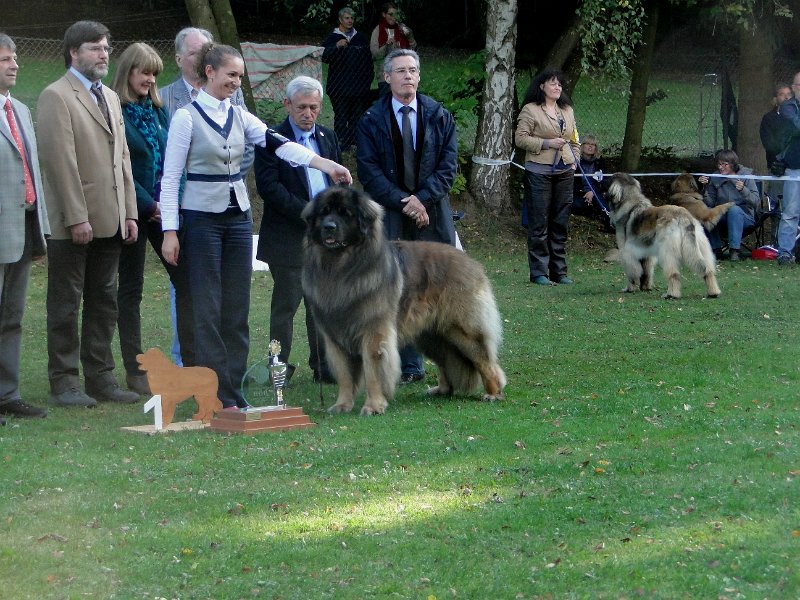 AmicusOptimusAntonius0010.JPG - BOB Leonberg 2012