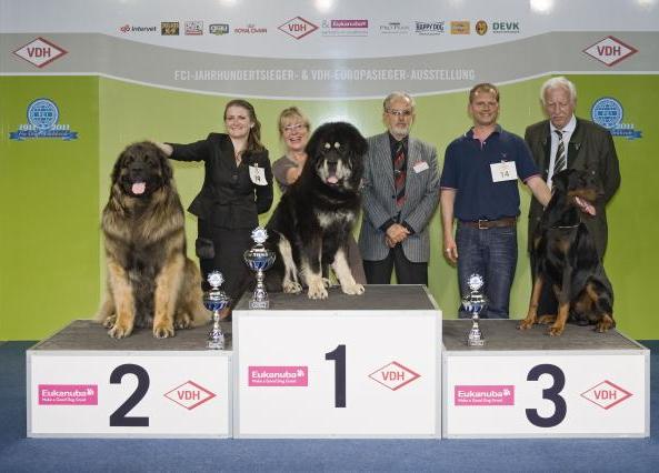 AmicusOptimusAntonius0020.JPG - Ausstellung