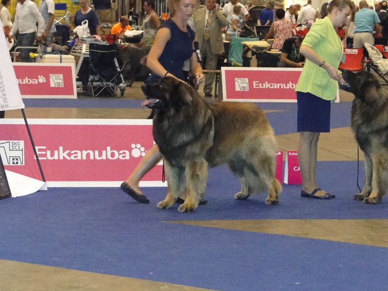 AmicusOptimusAntonius0027.JPG - Weltausstellung Genf 2013