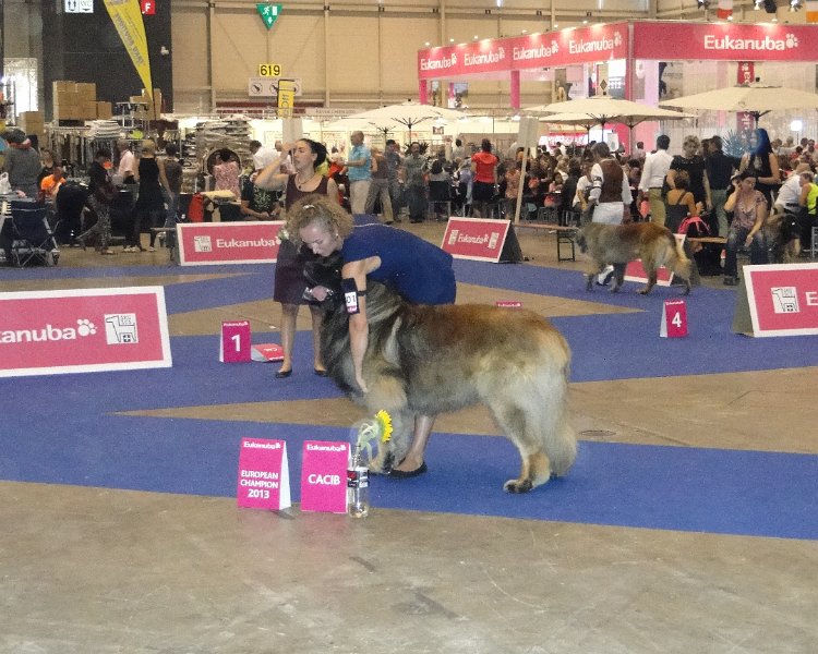 AmicusOptimusAntonius0030.JPG - Weltausstellung Genf 2013